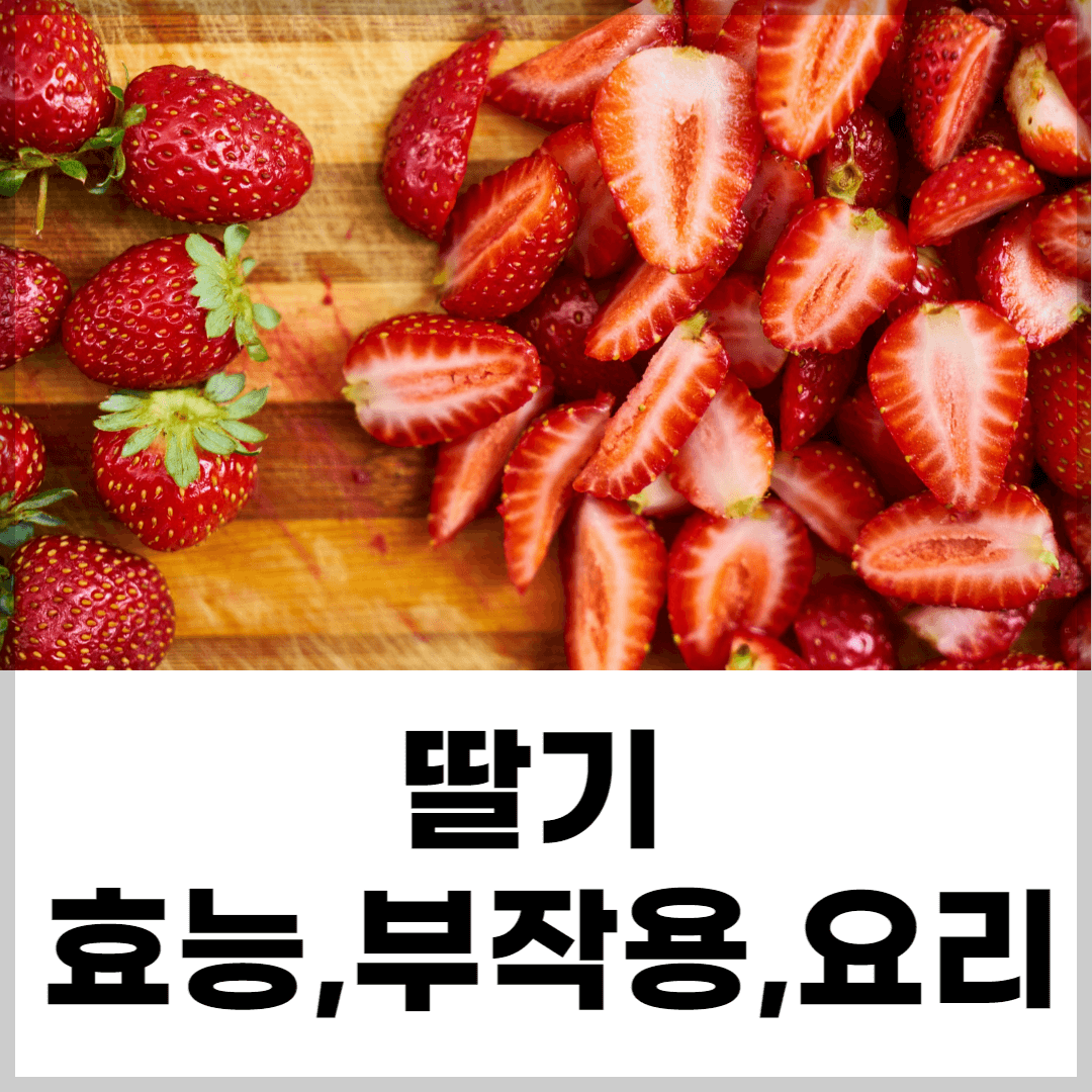 딸기 사진