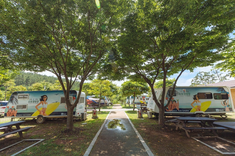 해남군 땅끝오토캠핑장 소개