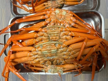 포항홍게무한리필25000원