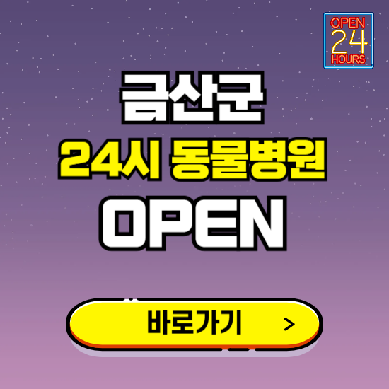 금산군 24시 동물병원 진료하는 곳 ❘ 설날 휴일 야간 심야 문여는곳 찾기 ❘ 응급진료