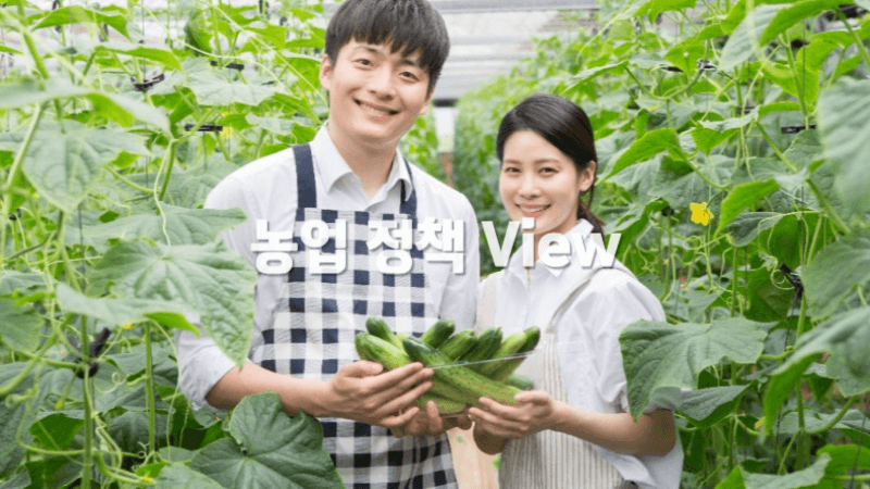 농업 정책 스마트팜