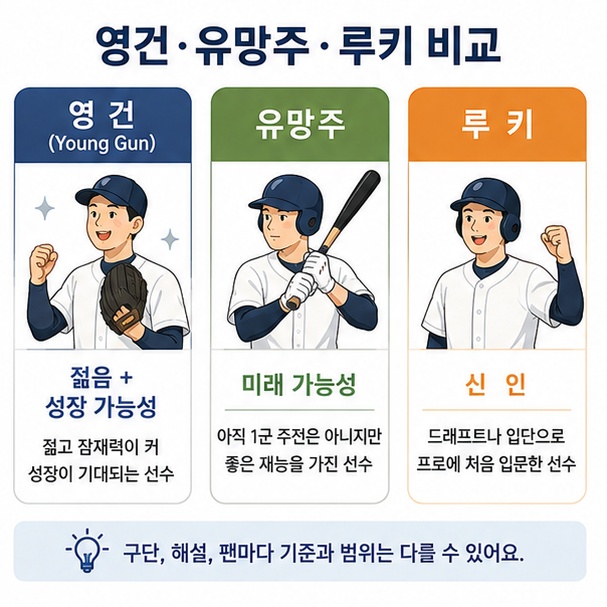 야구에서 영건은 젊음과 성장 가능성, 유망주는 미래 가능성, 루키는 신인을 의미한다는 차이를 비교한 이미지