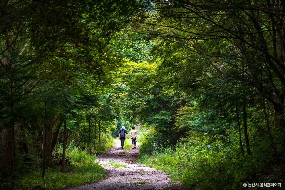 논산 가볼만한곳 베스트10