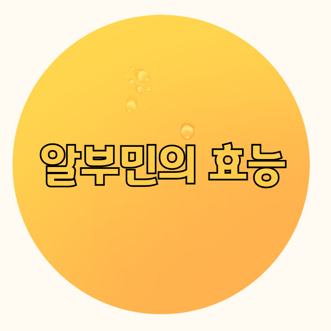 알부민의 효능
