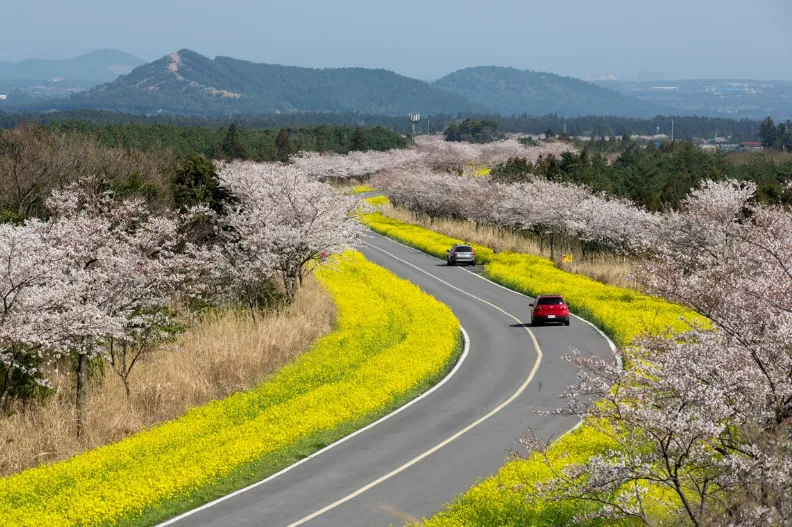 녹산로