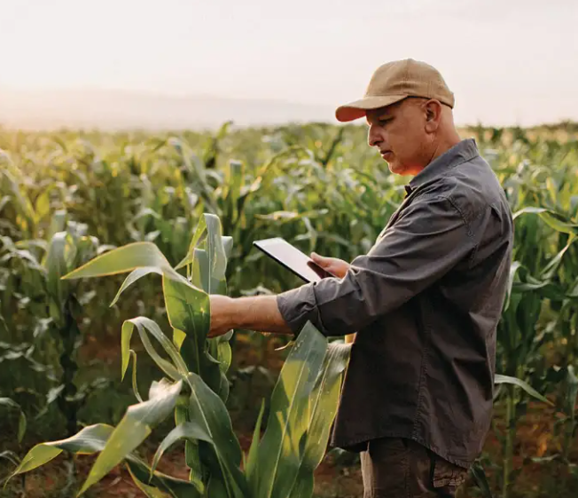 Agriculture Insurance Claim Adjuster