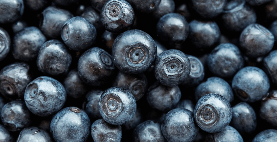 우울증에 좋은 음식 블루베리