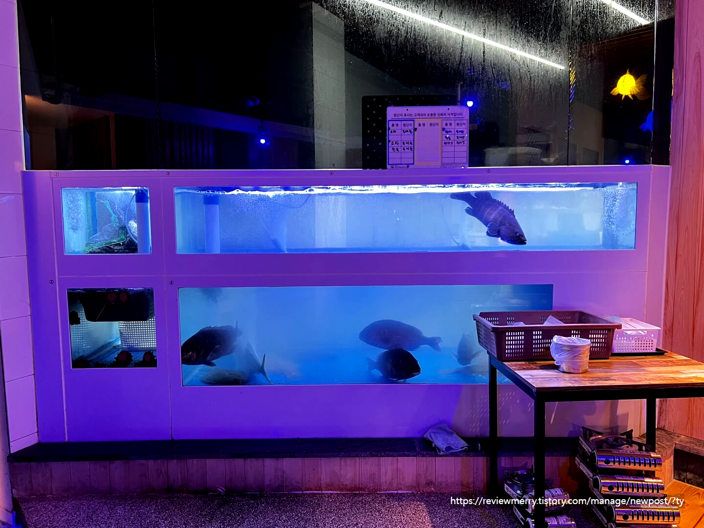 수족관 사진