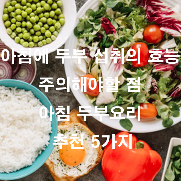아침에 두부 섭취의 효능 주의해야할 점 아침 두부요리 추천 5가지