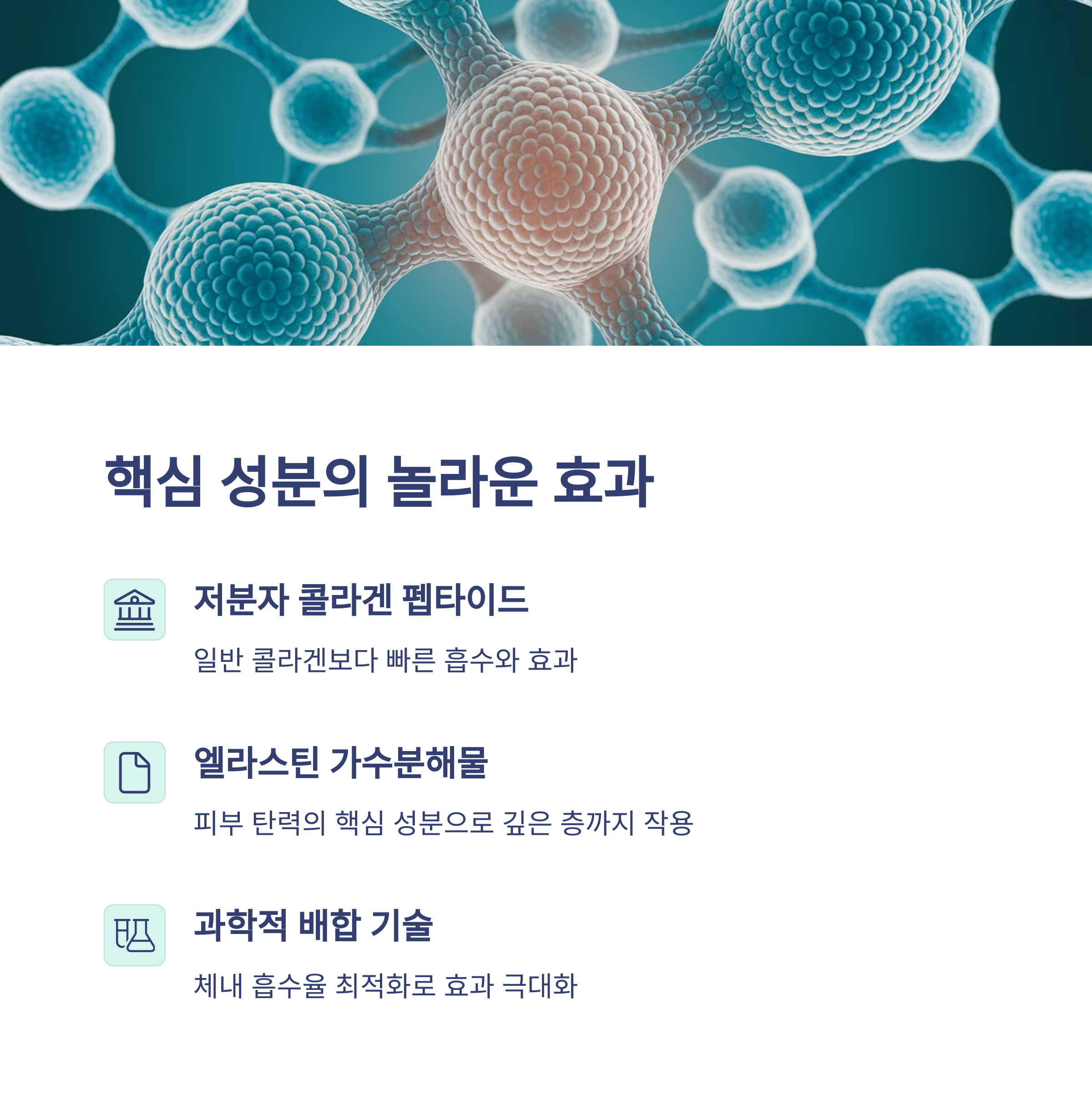 여에스더 엘라스틴 디엔에이 피부 탄력