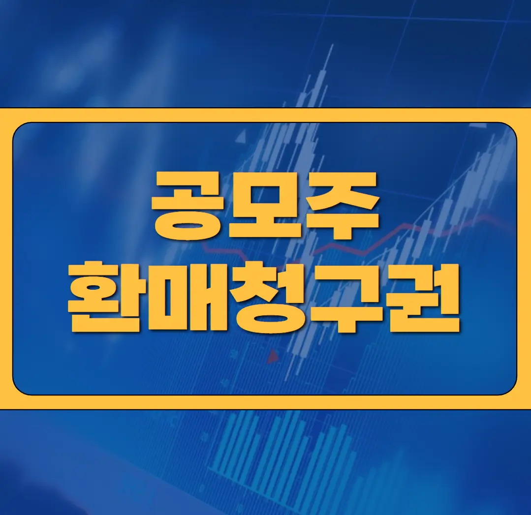 공모주 환매청구권