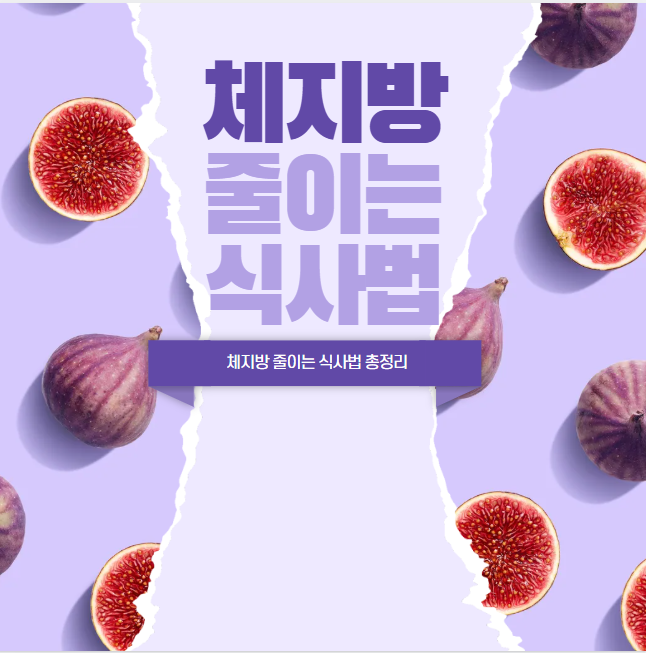 체지방 줄이는 식사법 총정리