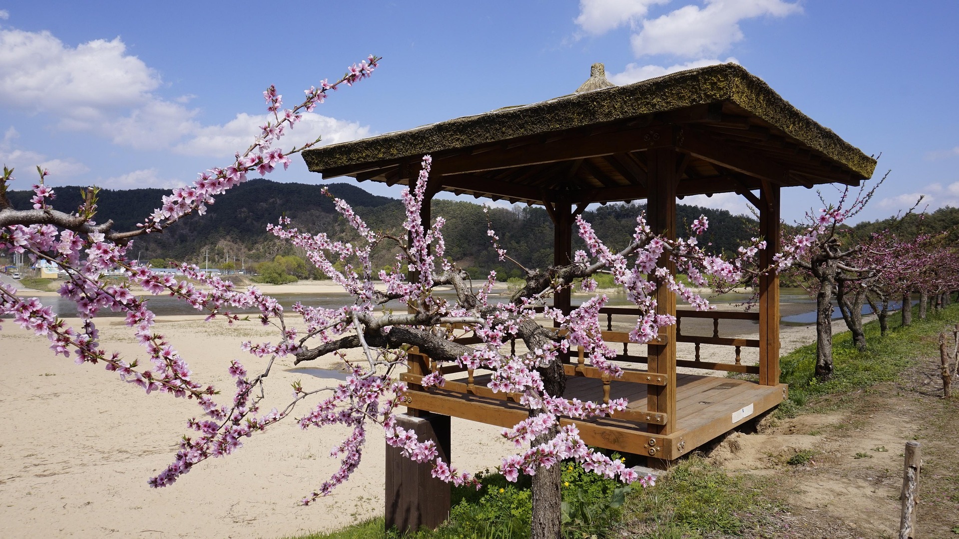 봄 알레르기 예방법