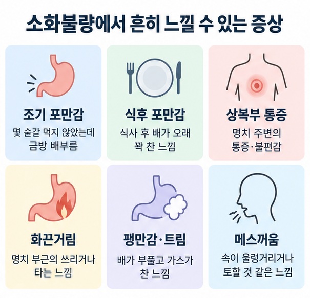 조기 포만감 식후 포만감 명치 통증 화끈거림 복부 팽만 트림 메스꺼움을 정리한 이미지