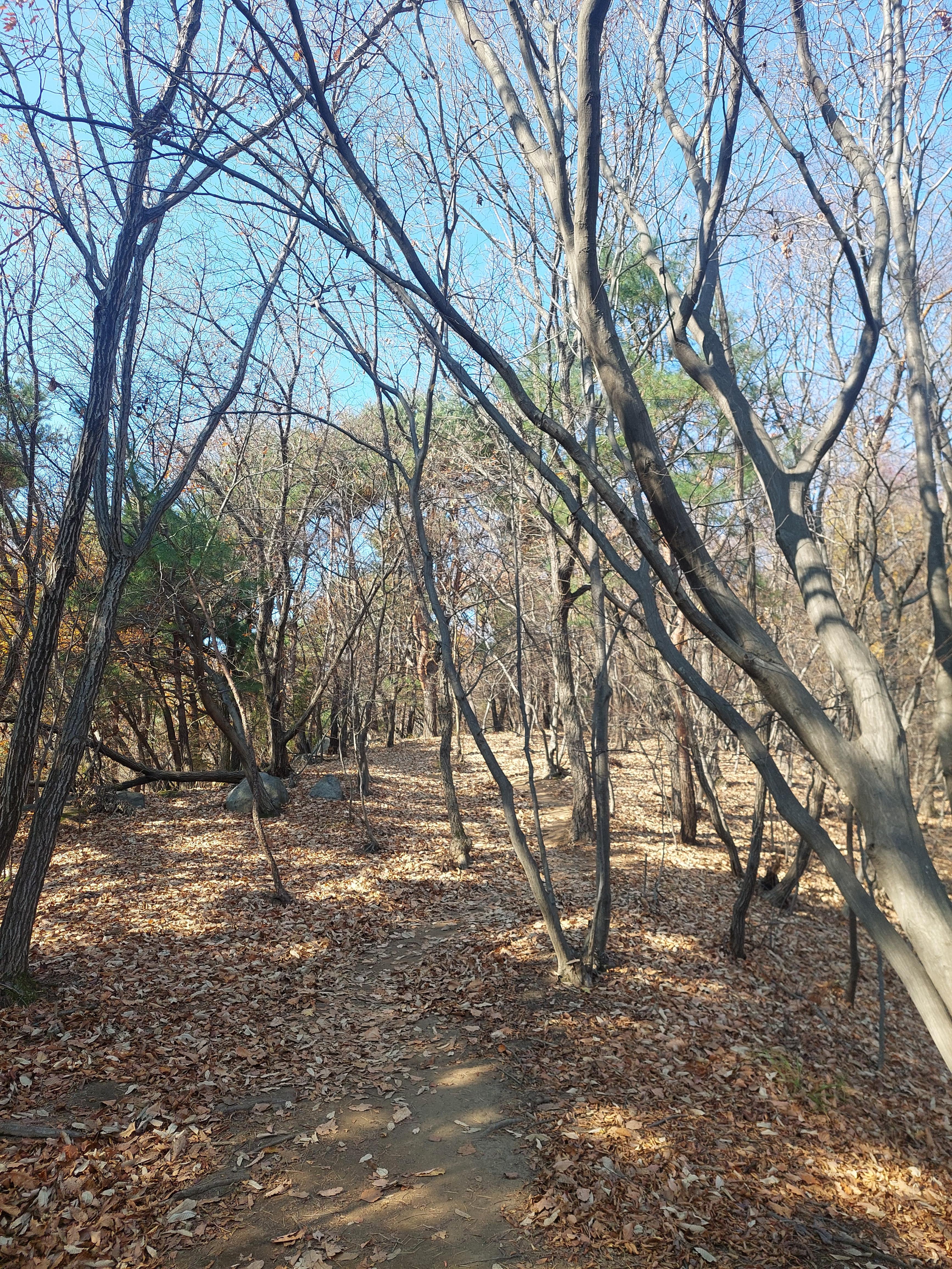 마니산