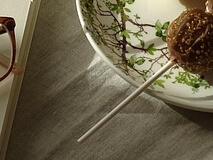 장 건강에 좋은 유산균