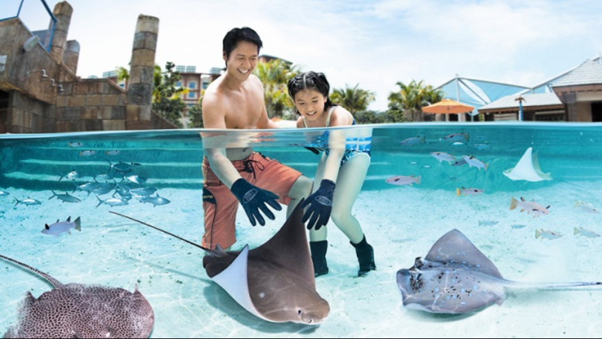 어드벤처 코브 워터파크