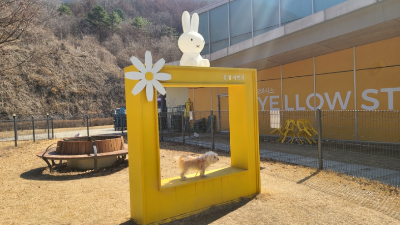 애견동반 휴게소
