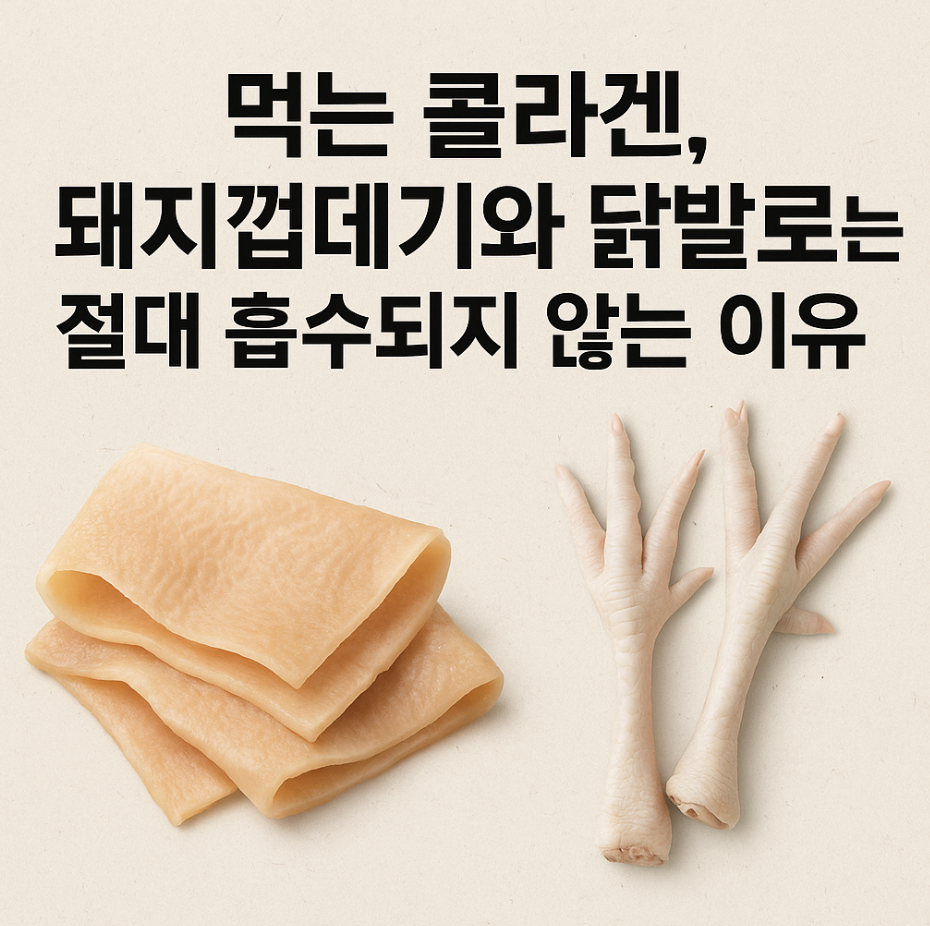 먹는 콜라겐, 돼지껍데기와 닭발로는 절대 흡수되지 않는 이유