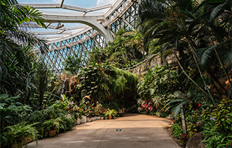 비 오는 날 서울 실내 명소 추천: 폭우에도 즐기는 도심 속 힐링 공간