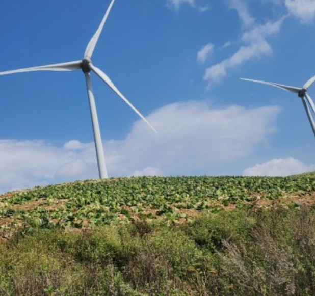 전국수선화명소