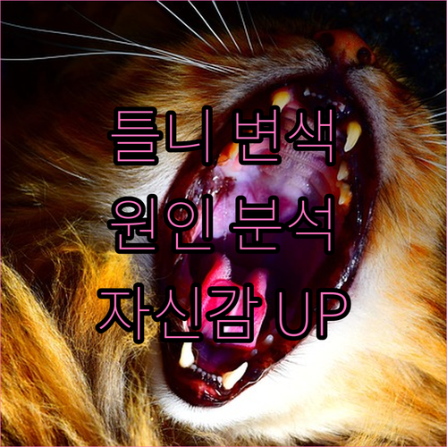 틀니 변색 원인과 관리법 완벽 분석!