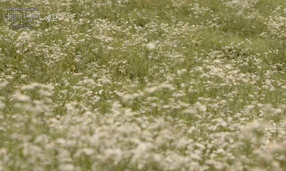 MBC 설 특선영화