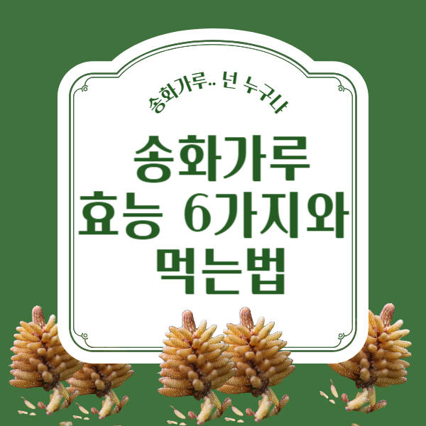 송화가루 효능과 먹는법