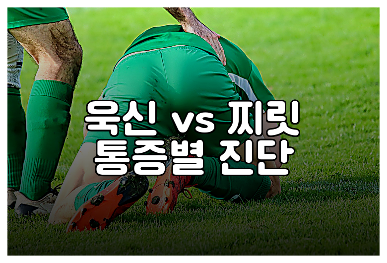 욱신 vs 찌릿 통증별 진단