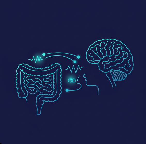 장-뇌 축과 식욕·스트레스 관리