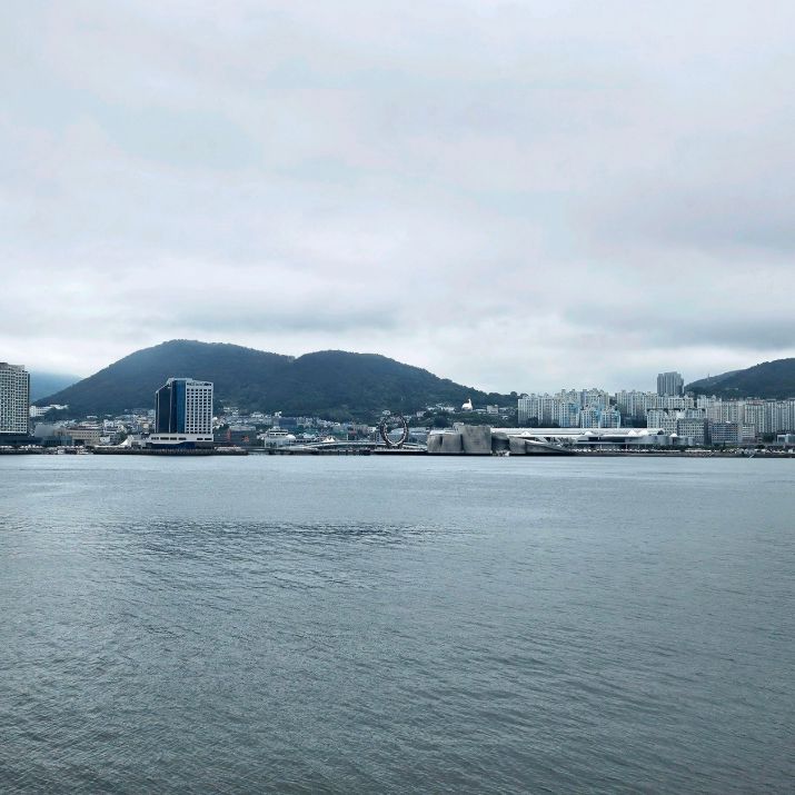 오동도