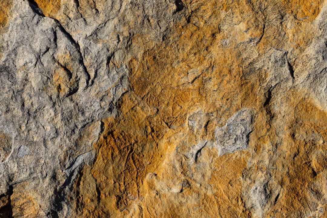 Paleolithic