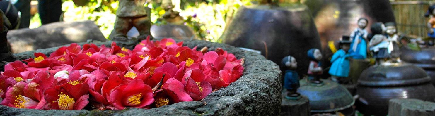 여수-오동도의-동백꽃