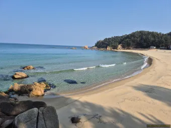 양양 맛집 베스트10 현지인 블루리본 맛집_19