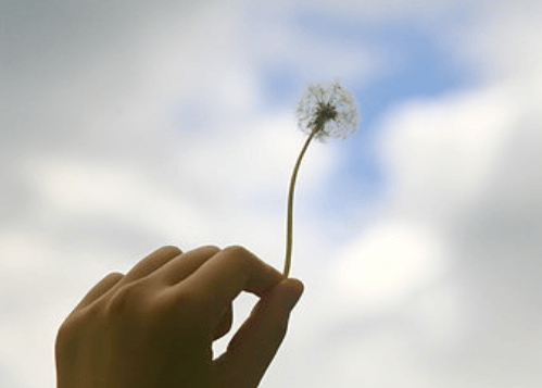 새 정부 정책 공약