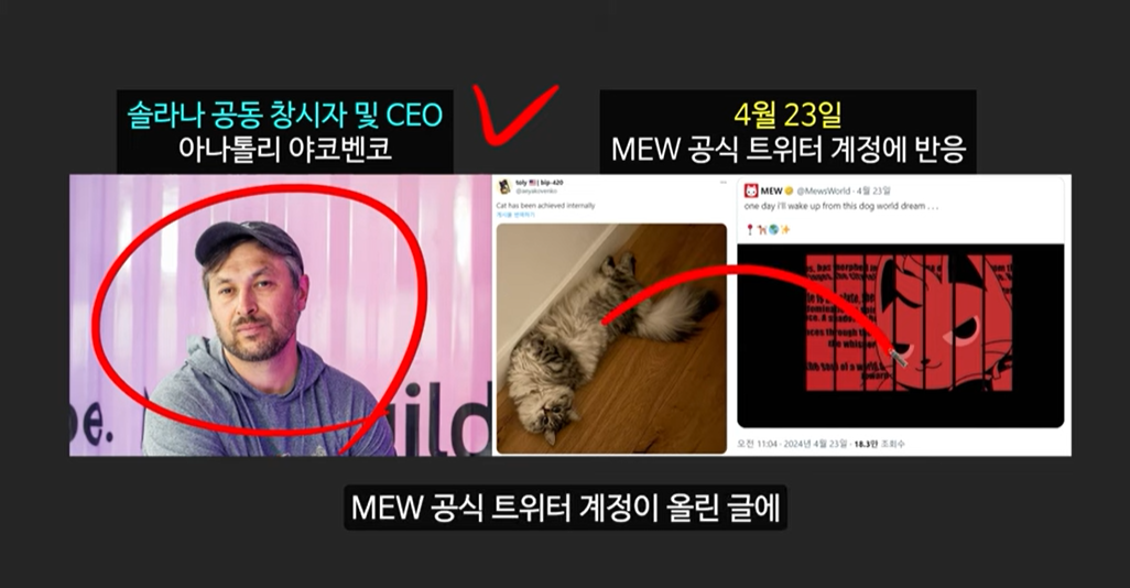 급등할 솔라나 밈코인 캣인어독스월드(MEW), 도지코인, 플로키, 벤도그, 마더, 그레이머, 워젝, 네버, 두코, 봉크