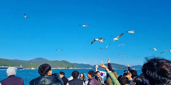 지세포관광유람선