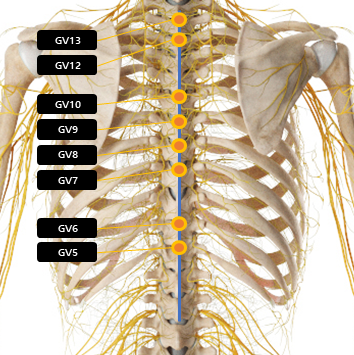 등 주변 혈자리 요약