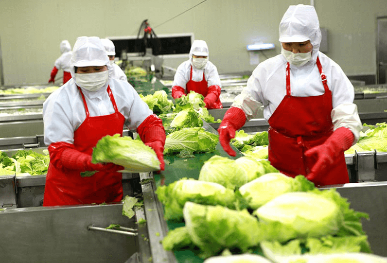 해남 절임배추 20kg 사전예약 가격비교