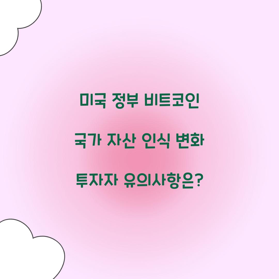 미국 정부 비트코인 국가 자산