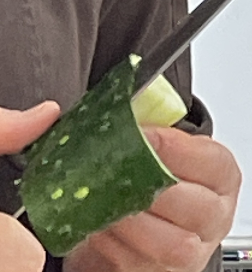 한식조리기능사 실기시험 준비 - 잡채 - 오이 돌려깎기