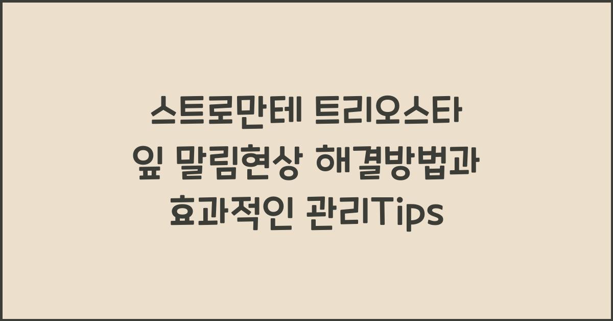 스트로만테 트리오스타 잎 말림현상 해결방법