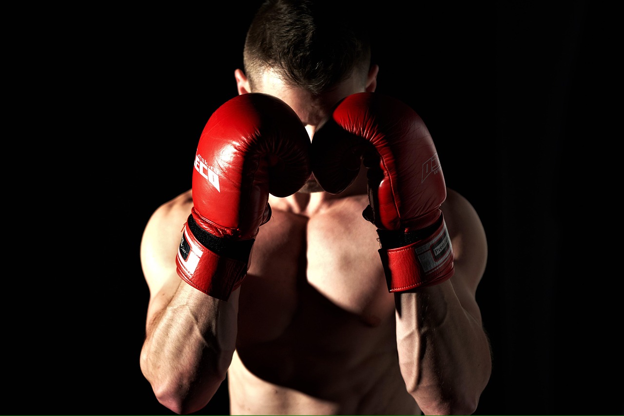 UFC 관련 사진