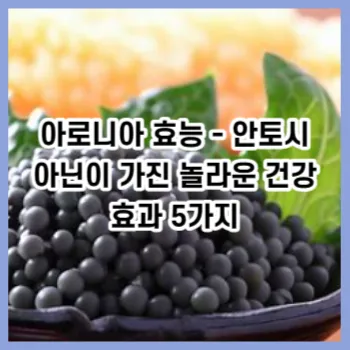 아로니아 효능 - 안토시아닌이 가진 놀라운 건강 효과 5가지