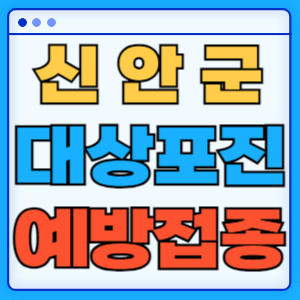 전라남도 신안군 대상포진 백신 무료 예방접종 비용지원 신청방법 대상자 준비서류