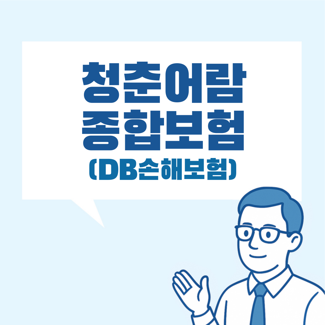 청춘어람 종합보험 설명 이미지