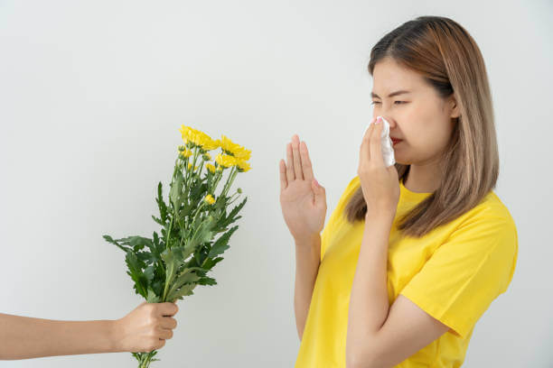 약만 먹으면 끝? 알레르기 비염 진짜 치료법 총정리!