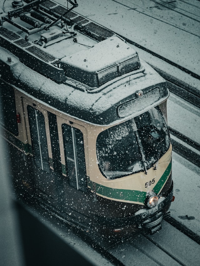 대설특보 재택근무 권고 기준 의무 여부 총정리