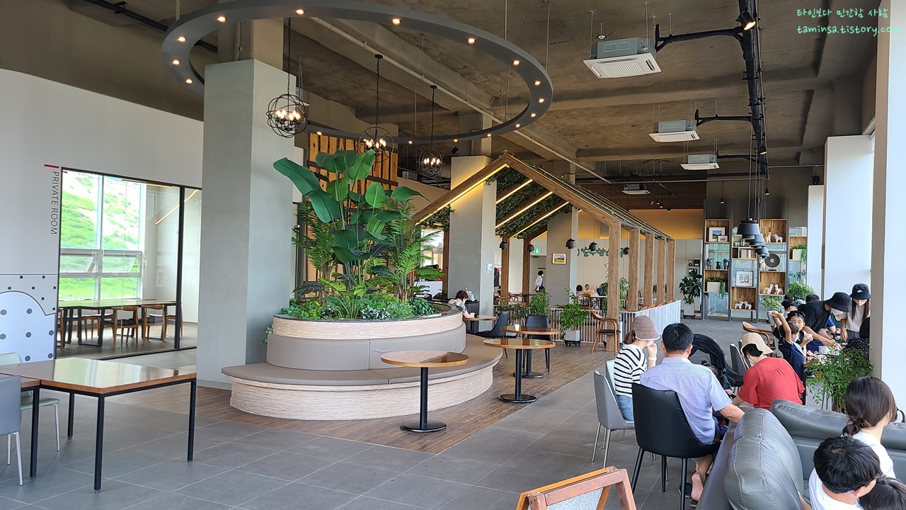 대관령-순수양떼목장-산850카페