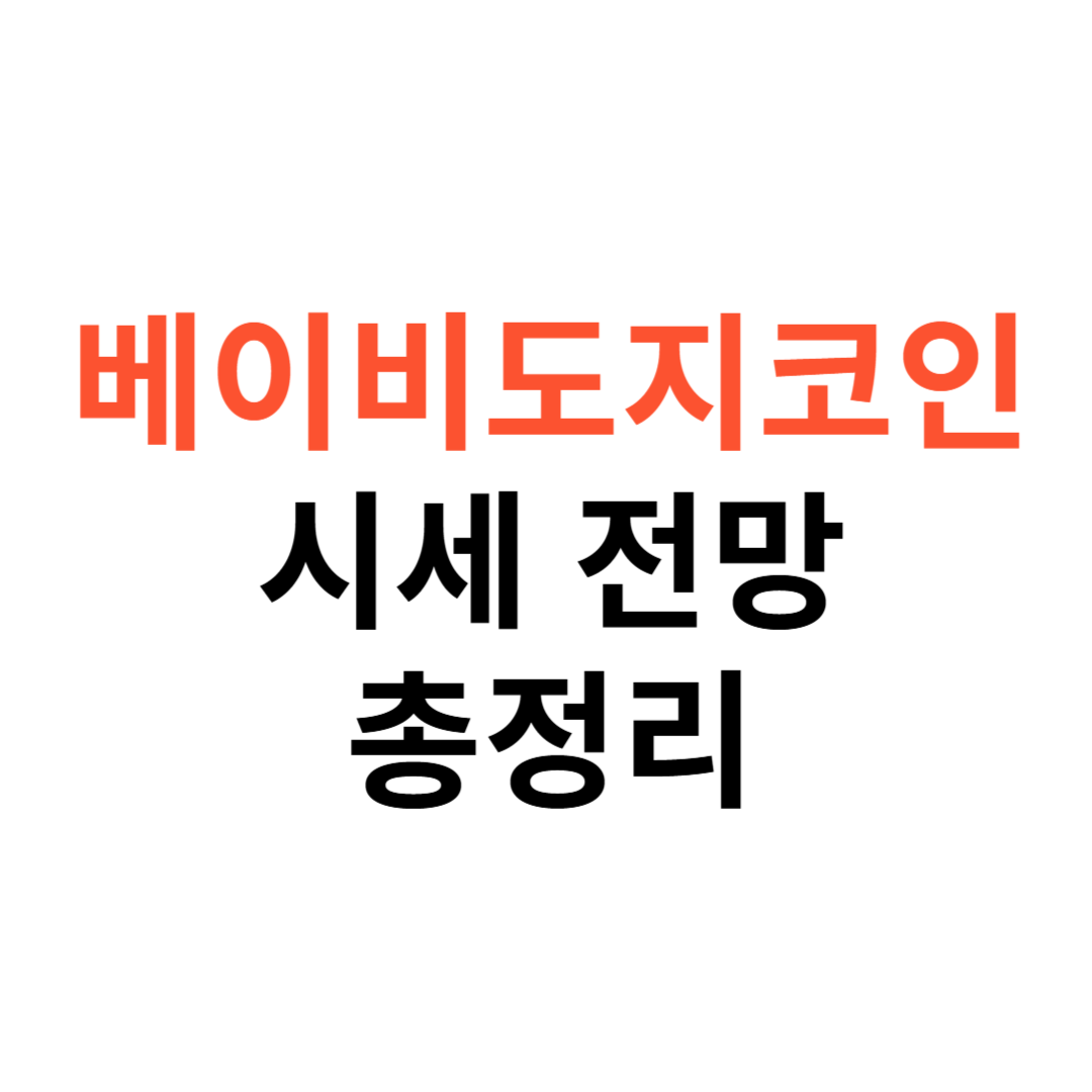 베이비도지코인 시세 전망